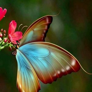 Meet your Posher, Heidy